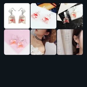 Unique Fish Bag Earrings